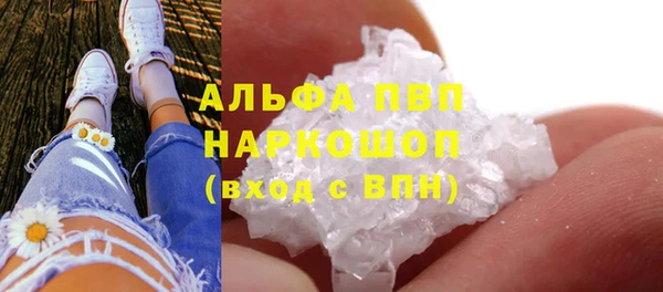 ПСИЛОЦИБИНОВЫЕ ГРИБЫ Покров